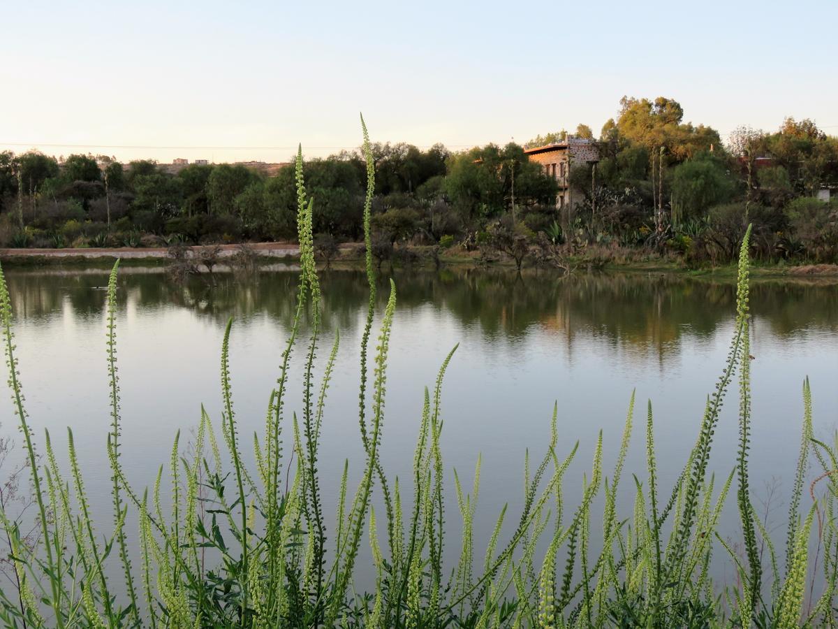 Hacienda Tovares Cadereyta de Montes Buitenkant foto